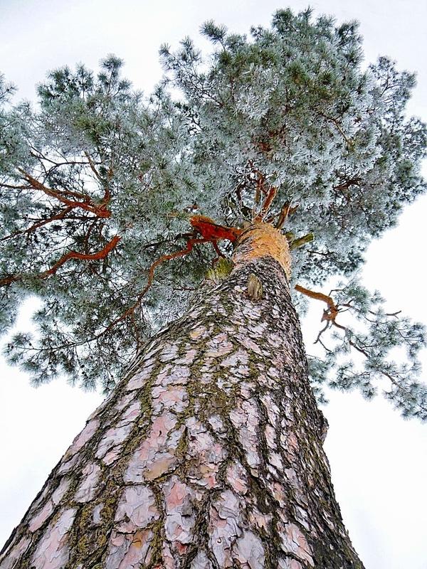 Это - однозначно