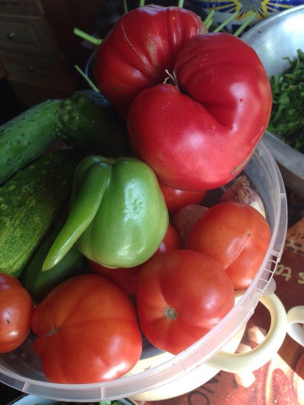 фотография из вКонтакта