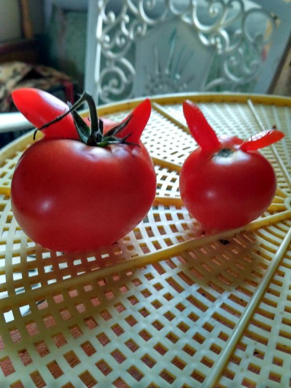 фотография из вКонтакта