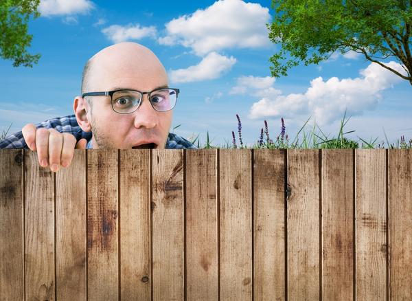 Какие у вас отношения с соседями по даче? И... есть ли рецепт добрых отношений?
