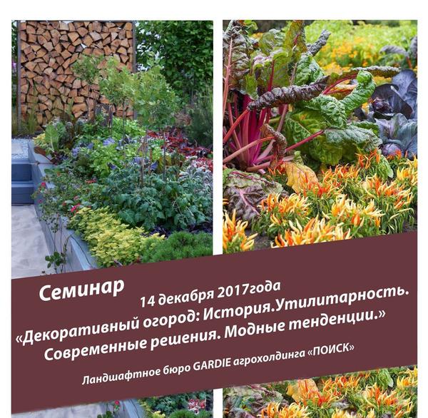 Анонс - семинар!