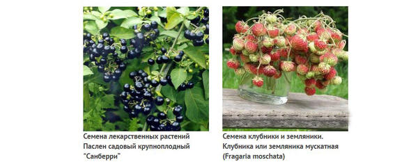 Из коллекции Анисимова Г.П.