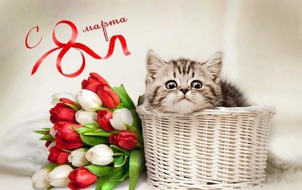 Поздравляем!