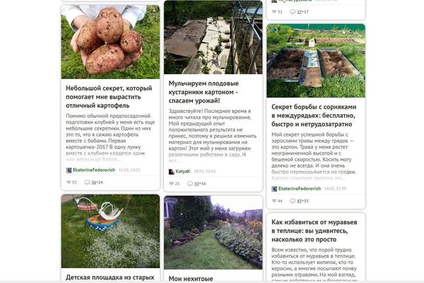 Голосуем?
