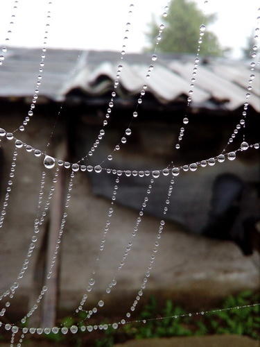 И это - тоже в точку