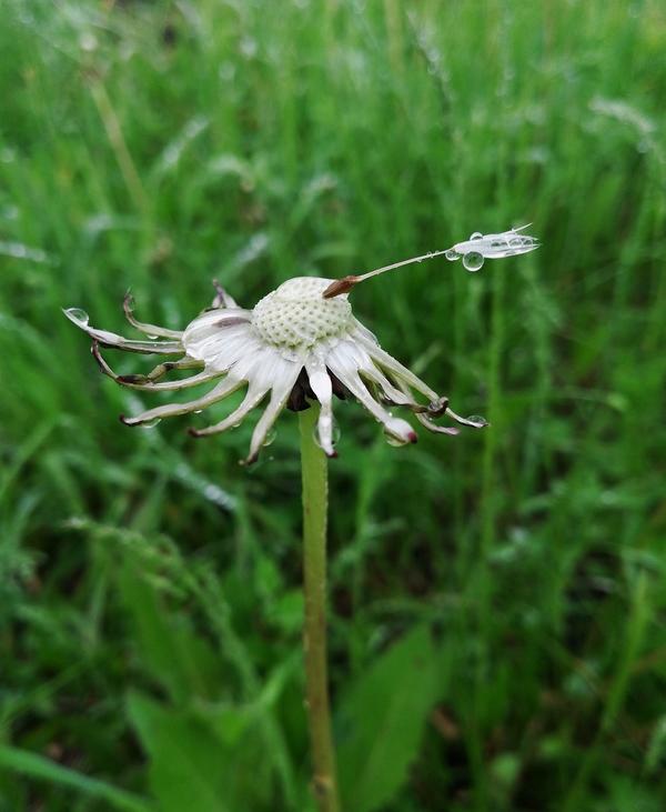 Автор фото - Екатерина Шевченко (Ekaterina_)