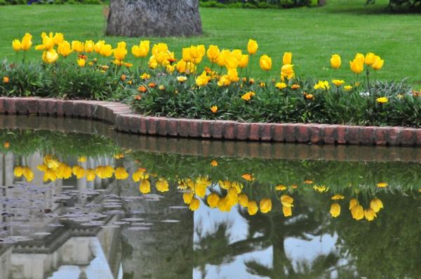 Отражение
Автор фото - Юрий (Yorik)