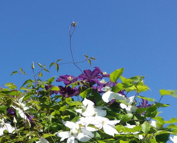 Видите разницу? Воооооооооооооооооооооооот