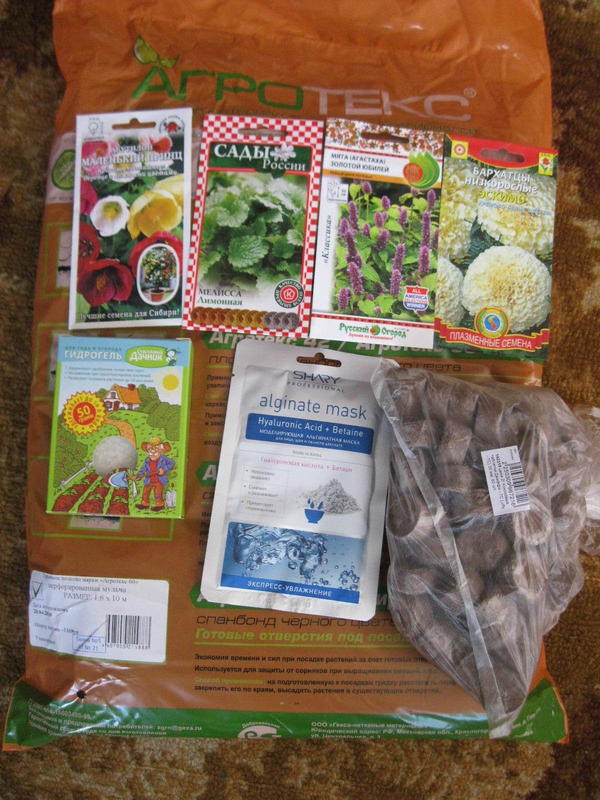 Немного семян:
— абутилон(дочка попросила)
— Мелисса Лимонная(у меня нет, а очень хочется)
— Мята Агастаха(у меня была, но пропала, очень советую, аромат сладкого ментола)
— Бархатцы Эскимо (мой выбор в качестве бесплатного подарка)