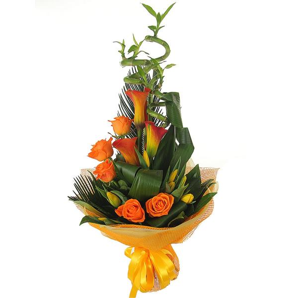 Поздравляем!!!