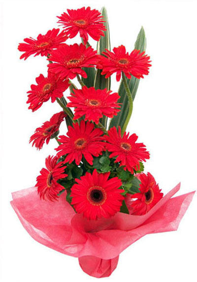 Поздравляю!!!