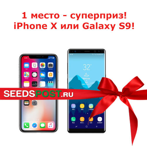 СУПЕРПРИЗ - смартфон Apple iPhone X 256GB или Смартфон Samsung Galaxy S9+
