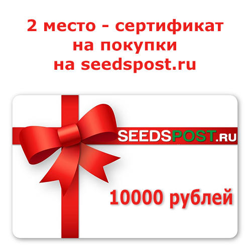 Подарочный сертификат на сумму 10000 рублей