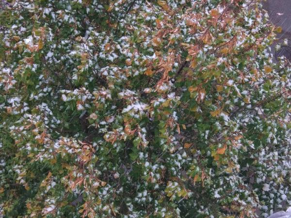 Вот, с моего 6 этажа)))