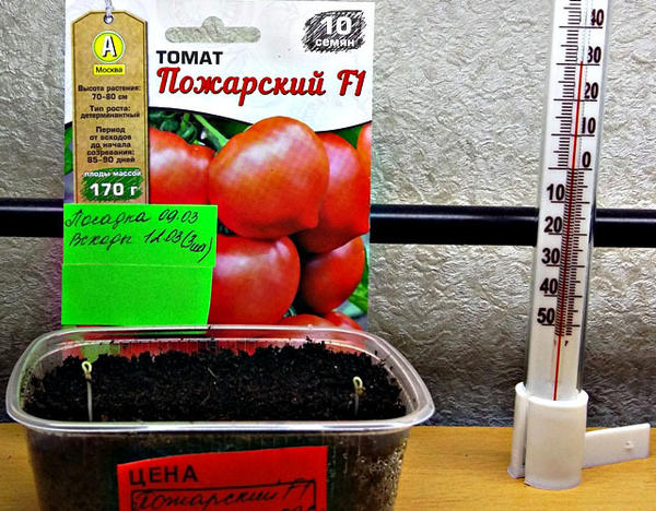 Продолжительность светового дня первые 2-3 дня -- 24 часа.