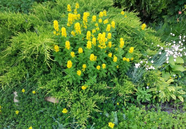 А всех с солнечным утром!!!