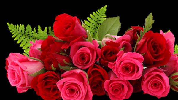 Поздравляю!!!!!!!