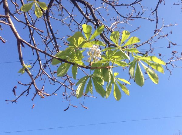 Весна 2018-го