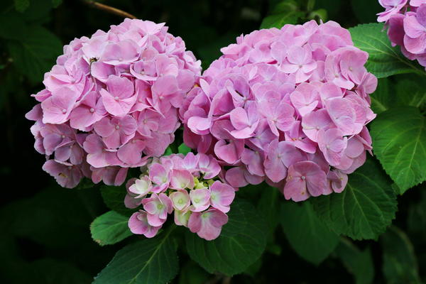 Фото Ирины Савониной (isavonina)