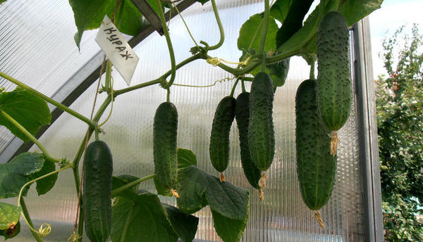 А когда нас снимать будут?