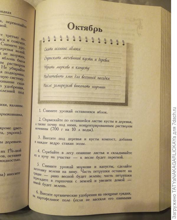 Советы на каждый месяц