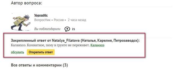 Закрепленный ответ