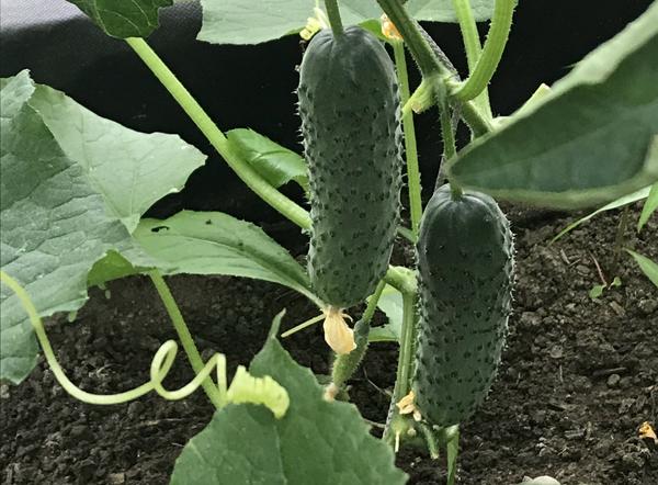 У Наташи (Natasha777)