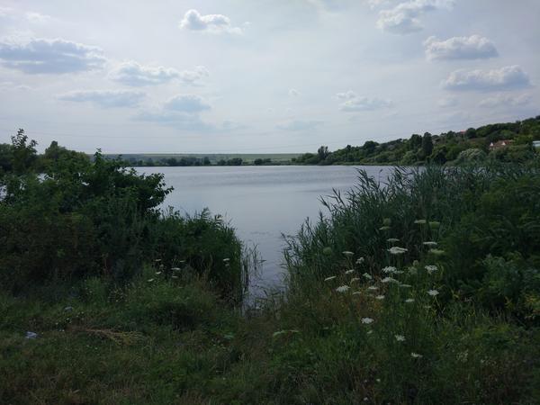 В заповеднике &amp;quot;Ягорлык&amp;quot;