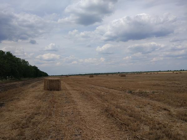 Завернули на поле