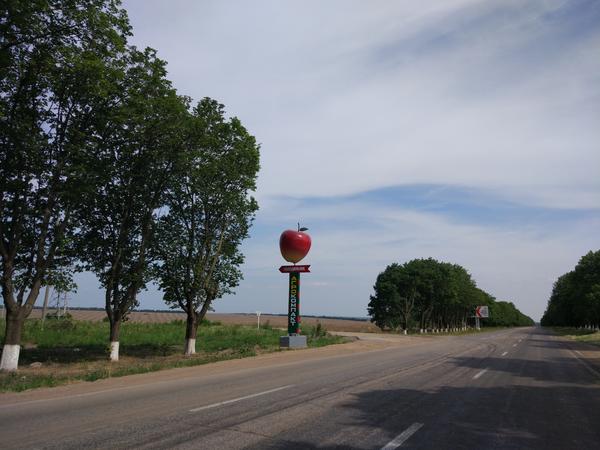 Ну и вот какие у нас уже яблоки))) У кого такие еще растут?