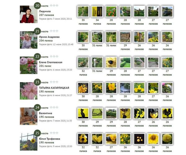 Как только член жюри увидит все 30 фотоальбомов, он расставляет звездочки. Кому одну, кому две, кому три. А в сводной таюлице конкурсанты автоматически располагаются так: чем больше звезд получено - тем выше конкурсант. Вот кому досталось от членов жюри больше всего звезд, тот и победитель.