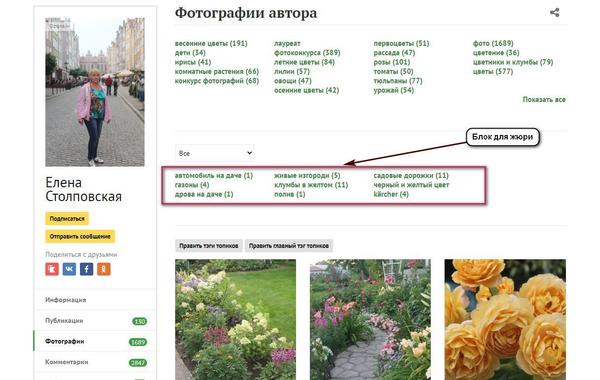 Видишь, член жюри видит, сколько фотографий человек выложил в конкурс. И сколько фото - в каждой теме. Он нажимает поочередно на все темы - и просматривает все фотографии.