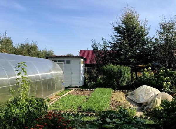 Фото Натальи (Natasha777)