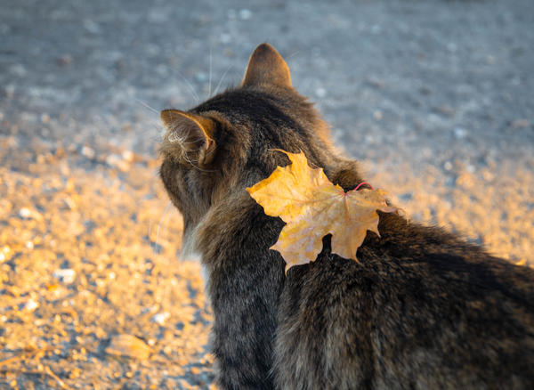 Фото Маргариты 1