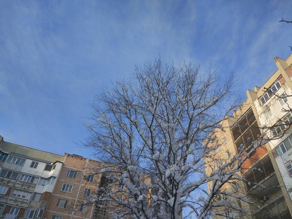 Зима 29 января 2021