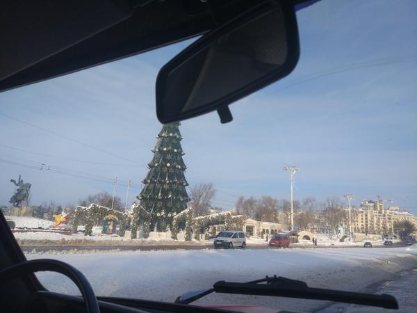 Ёлка еще стоит...