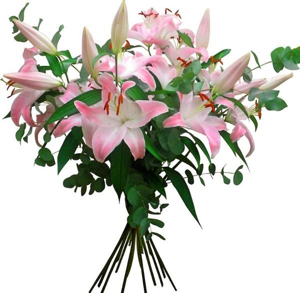 С днём рождения, Лилия!