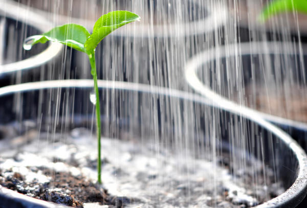 Фото из facebook