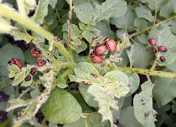 Фото Людмилы Генераловой