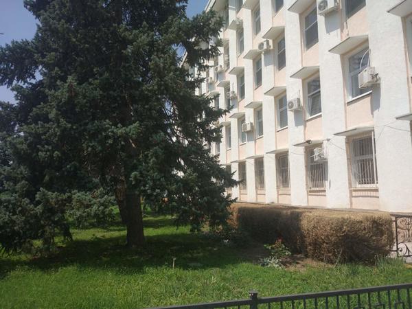 Самшит 26 июля