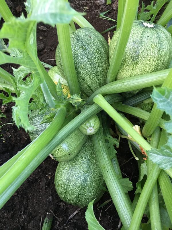 Фото Марины Мехоношиной