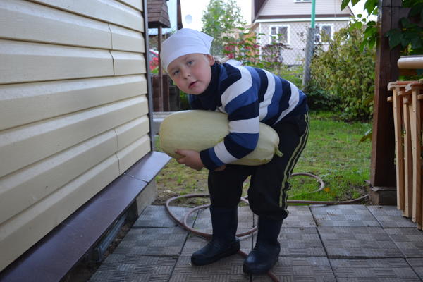 Фото Надежды Екимкиной