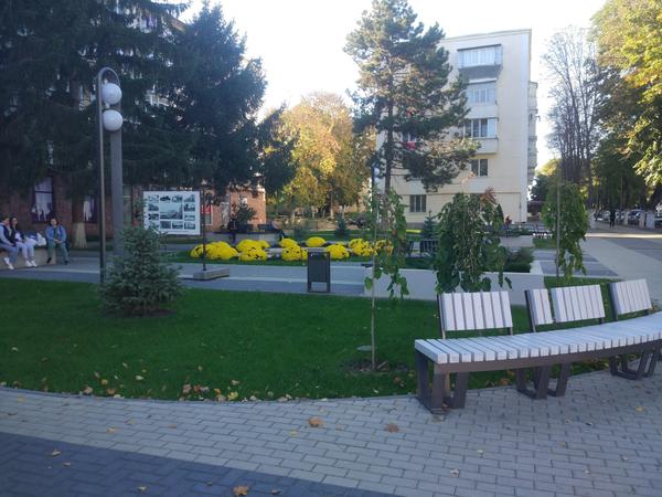 Ещё совсем зеленые газоны