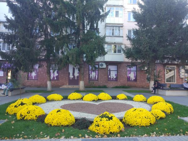 Клумба