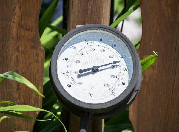 Погода в декабре