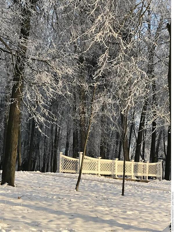 В парке