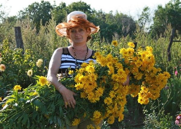 Золотые шары Тамары Георгиевны из Зарайска