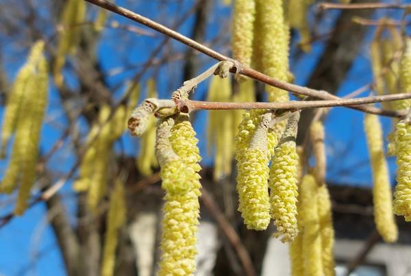 Фото Натальи (Bernata), Новороссийск