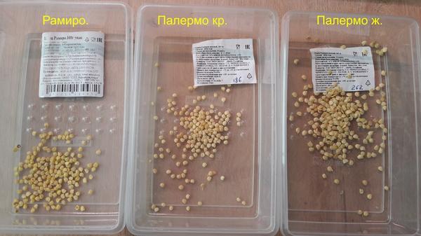 Исследования Татьяны (Tanyusik), Санкт-Петербург