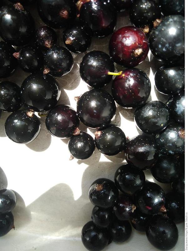 После горячей воды, а листики до сих пор с синевой